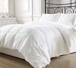 100 GSM 1pc Comforter Olympic Queen Burgundy Stripe 100% Egyptian Cotton