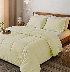 1 Piece Velvet Comforter 400 GSM Ultra Soft Premium Hotel Class Bedding (Twin/Twin XL, Ivory)
